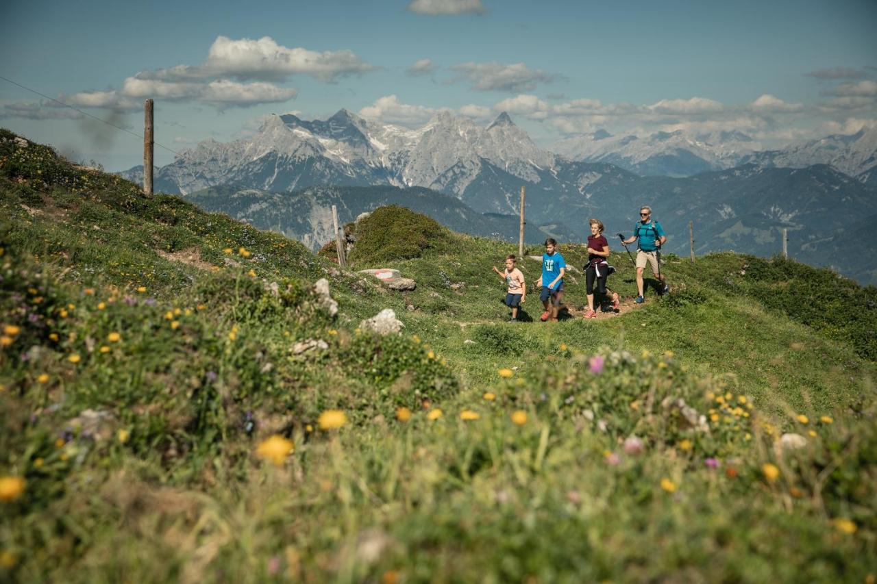 Appartement Rosa Sankt Johann in Tirol Εξωτερικό φωτογραφία